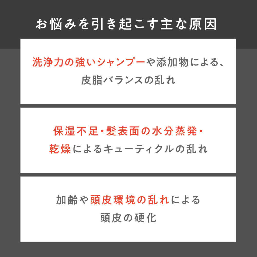 お手軽サイズ300ml/ラフィー(Raffi)スタイリストシャンプー