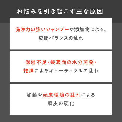 お手軽サイズ300ml/ラフィー(Raffi)スタイリストシャンプー