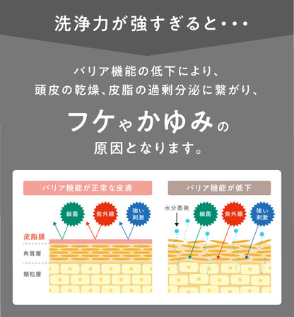 お手軽サイズ300ml/ラフィー(Raffi)スタイリストシャンプー