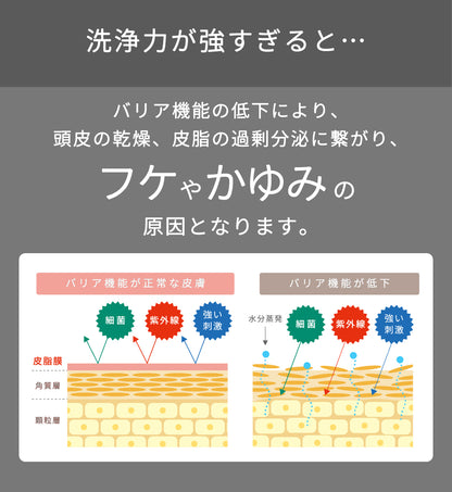 ラフィースタイリストトリートメント1000mL(2本セット)