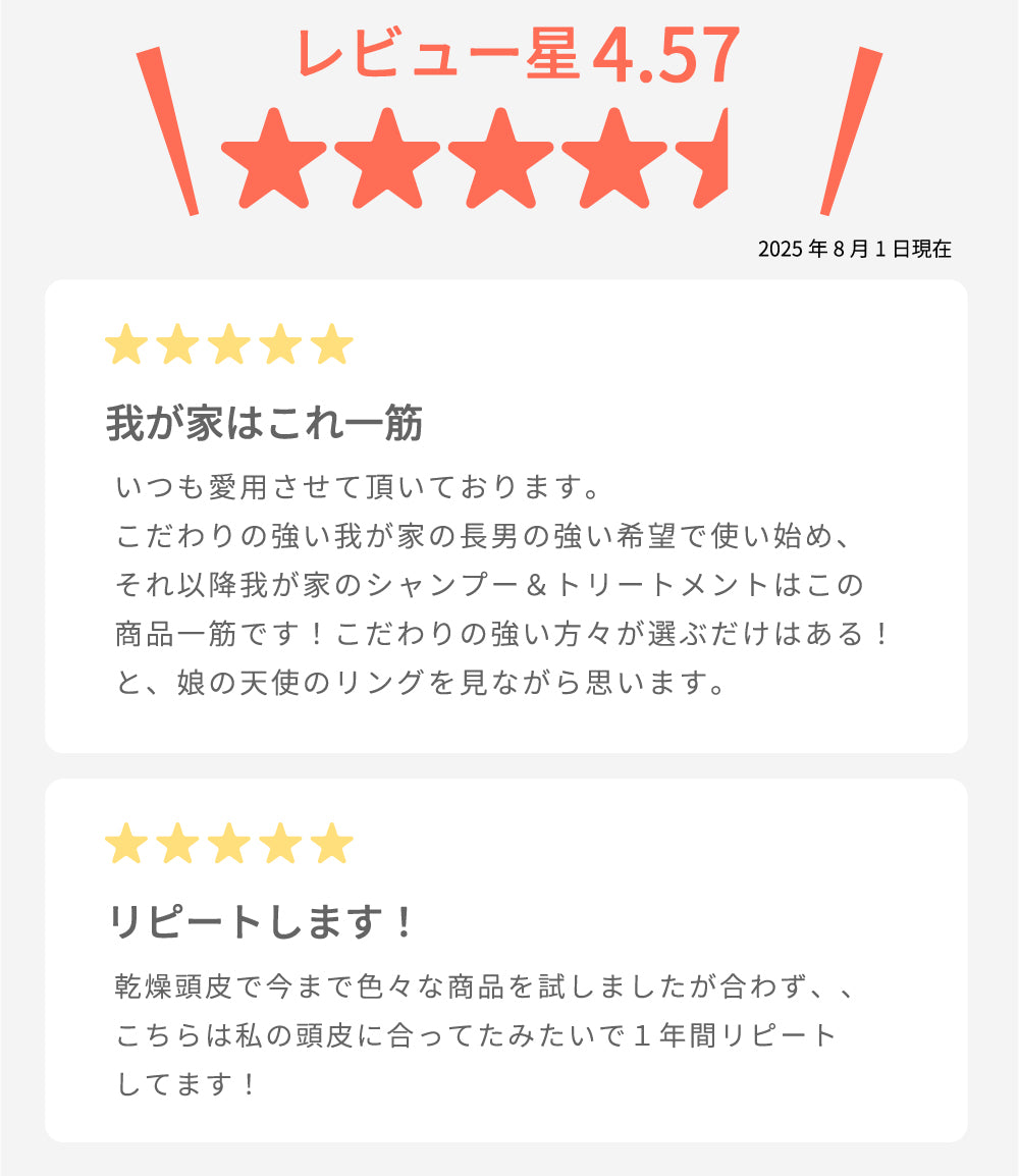 ラフィースタイリストトリートメント1000mL(2本セット)